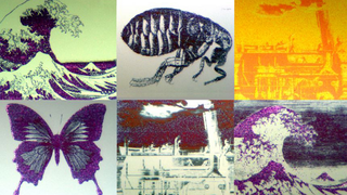 Each of These Images Is Smaller Than the Width of a Human Hair
